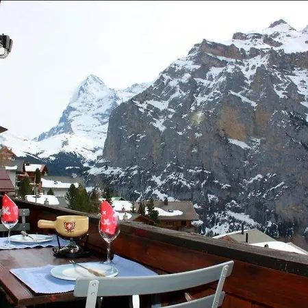 Sleeps 3 Wifi Appartement Mürren