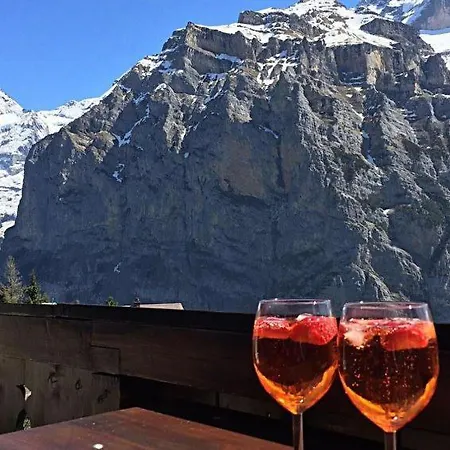 Appartement Sleeps 3 Wifi Mürren